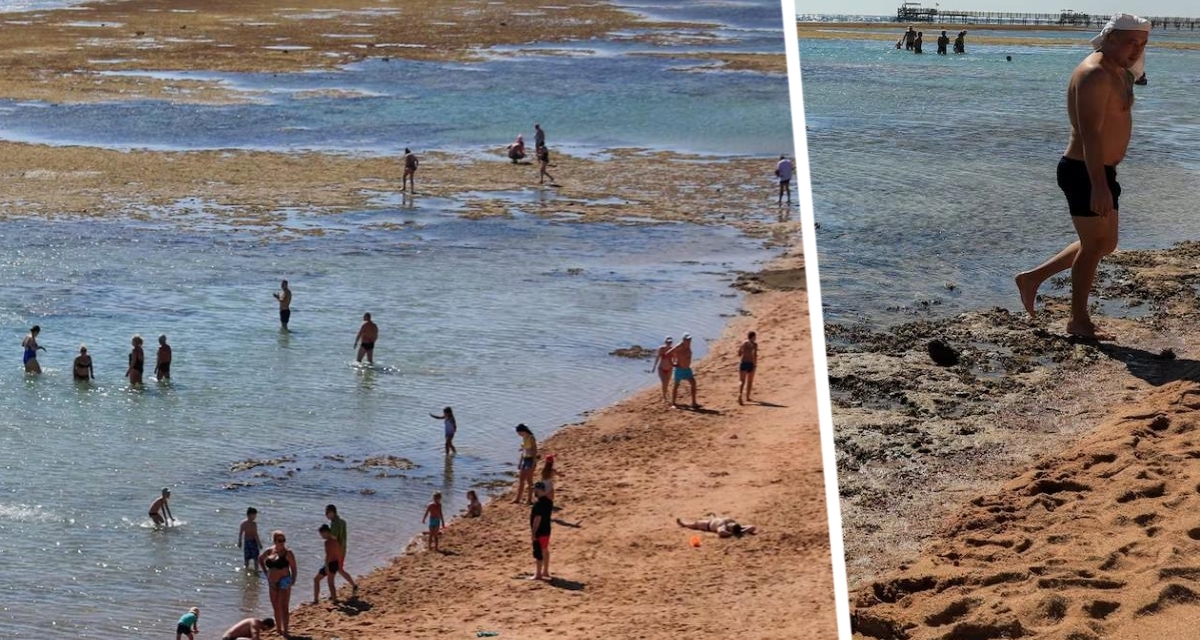 Туристы в Хургаде остались без моря: вода ушла, все бродят по камням и болоту