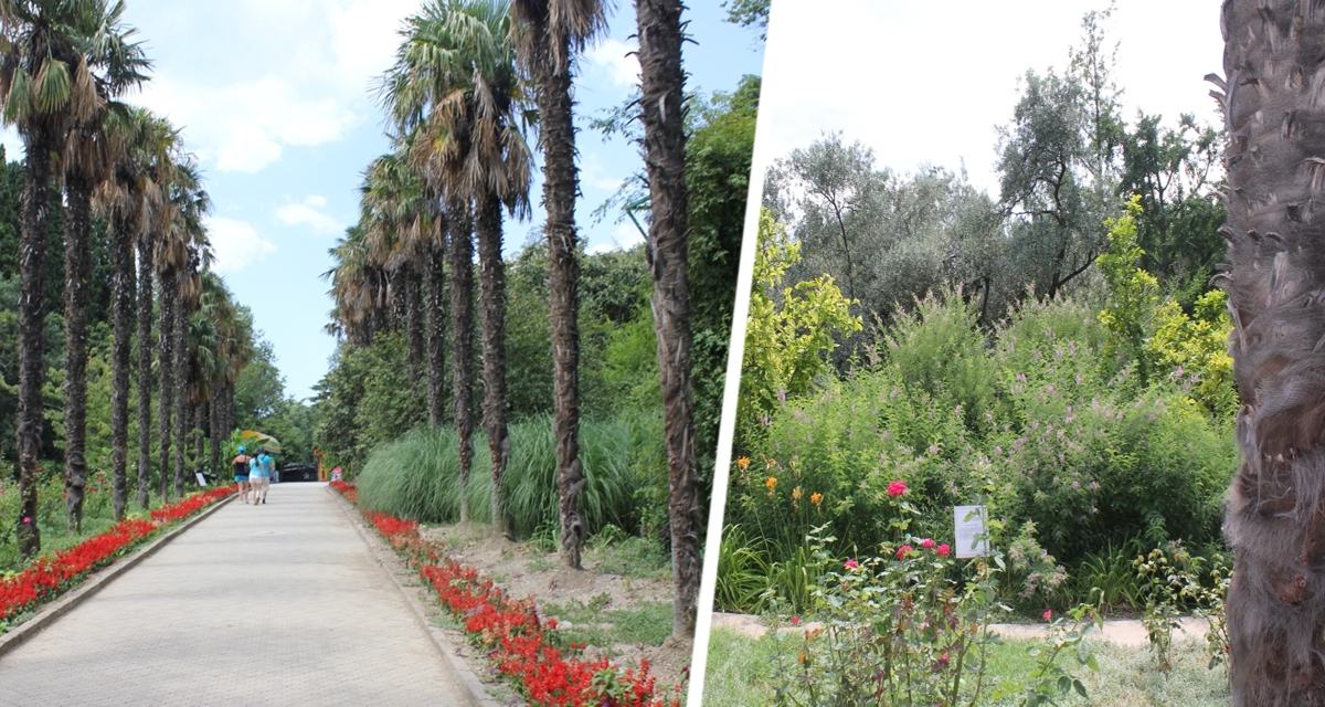 Прогулка по Санье: экзотические сады и целебные источники – Янода (Yanoda Rainforest Cultural Tourism Zone)