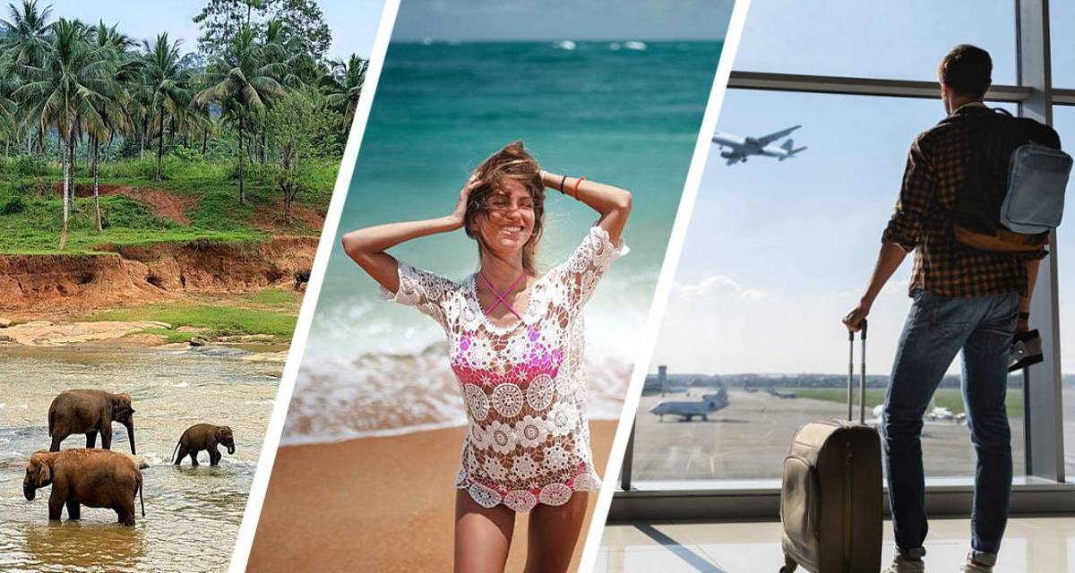 Под крылом «Аэрофлота»: Шри-Ланка надеется вернуть утраченные позиции на российском рынке, но Вьетнам наступает на пятки