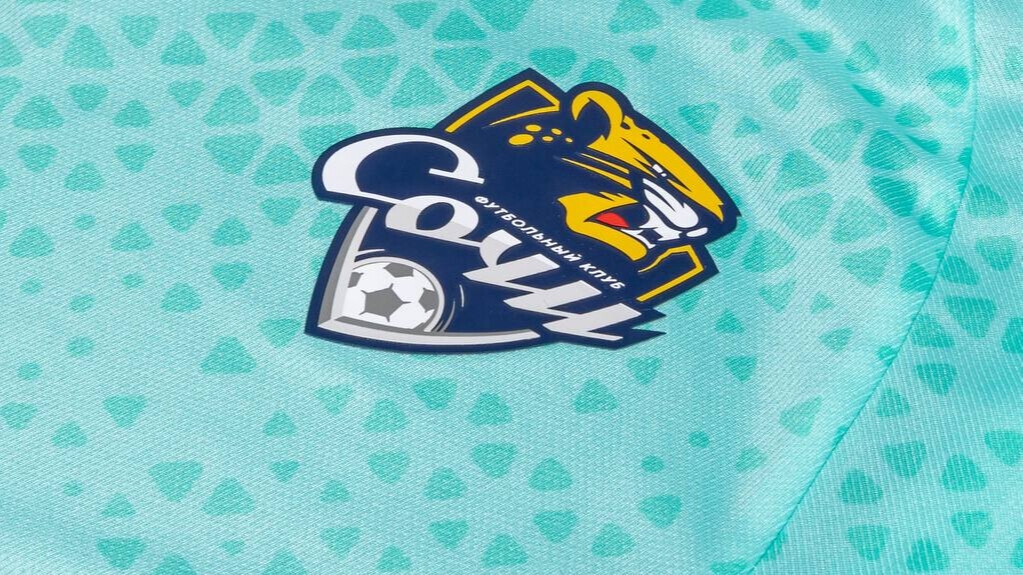 «Сочи» объявил о расторжении контрактов с Никитиным и Стойсавлевичем