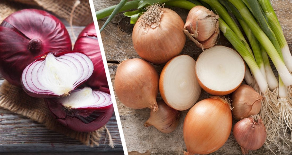 Вы явно догадывались не обо всём: ученые перечислили всю уникальную пользу лука