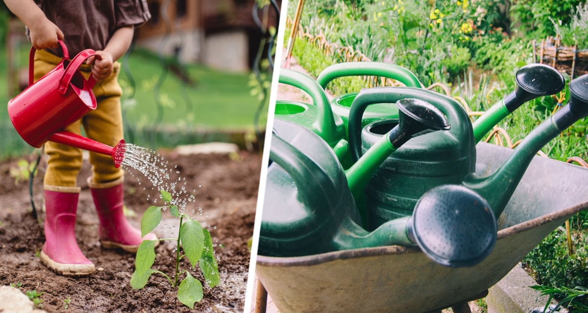 Летний &laquo;душ&raquo; для сада: раскрыты секреты оптимального времени полива для процветания растений