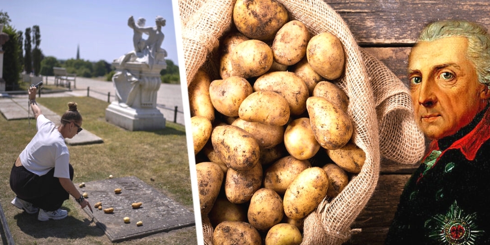 Священная картошка: Туристы превращают историю Германии в овощной фарс