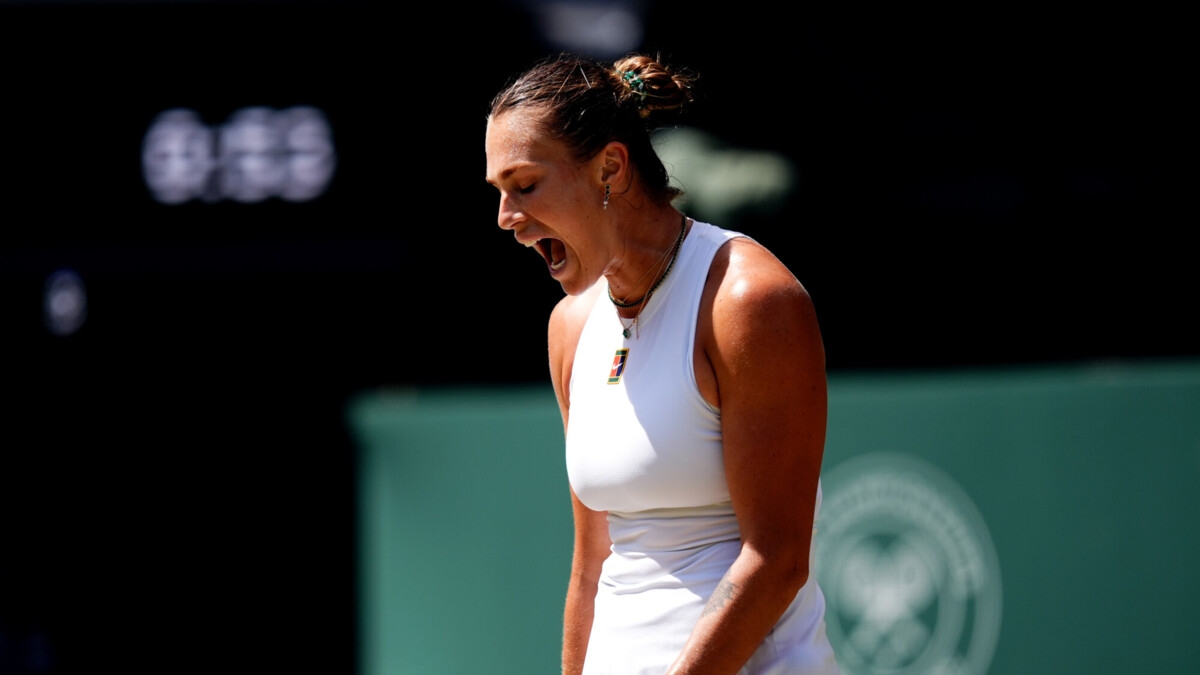 Соболенко проиграла Анисимовой в полуфинале Уимблдона