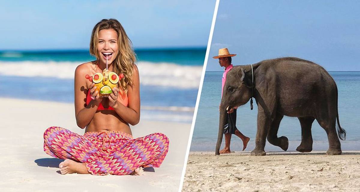 Гоа или Шри-Ланка: Где лучше отдыхать российским туристам осенью?