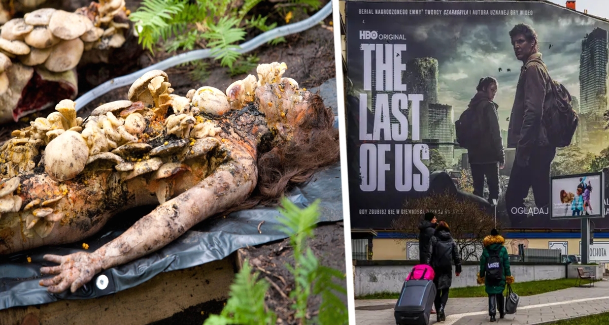 В США начинается эпидемия смертельного грибка, который &laquo;поедает человека изнутри&raquo;: сотни тысяч жизней оказались под угрозой