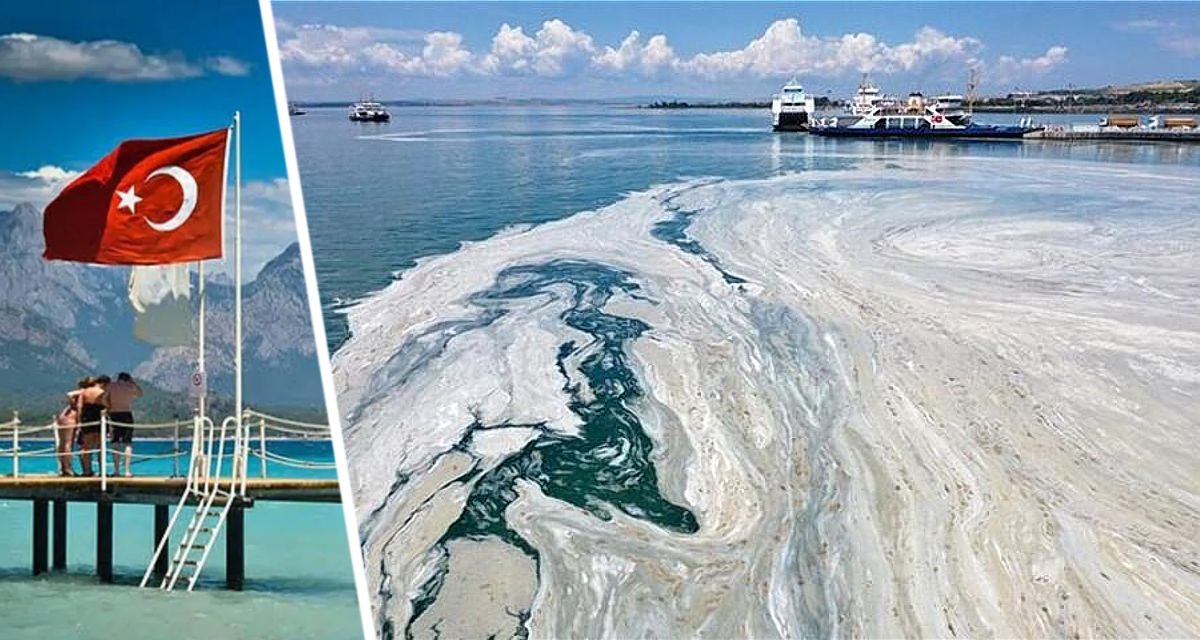 Российских туристов в Турции успокоили: &laquo;купаться можно, мерзкой морской слизи будет немного&raquo;