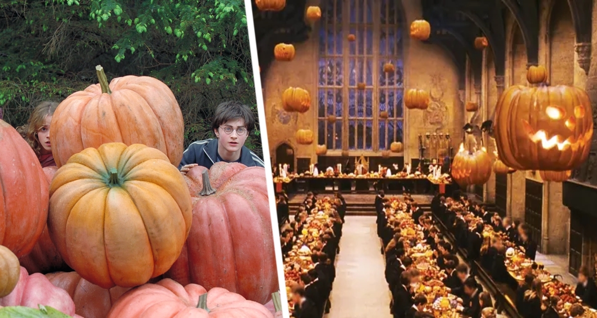 Секрет тыквы-гиганта: июльская прищипка &ndash; ваш путь к рекордному урожаю