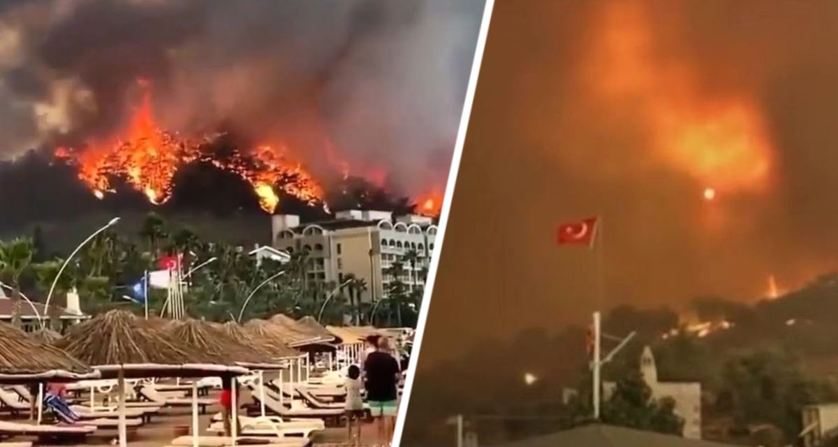 Лесные пожары продолжают бушевать в Турции