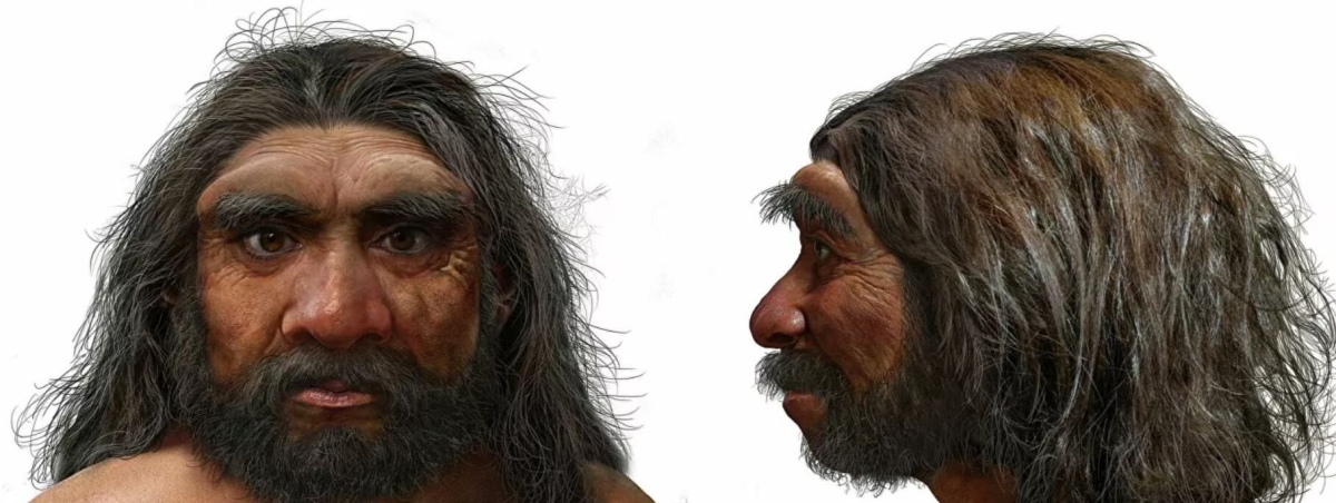 Древний череп из Китая впервые позволил понять, как выглядели денисовцы Древний череп из Китая впервые позволил понять, как выглядели денисовцы