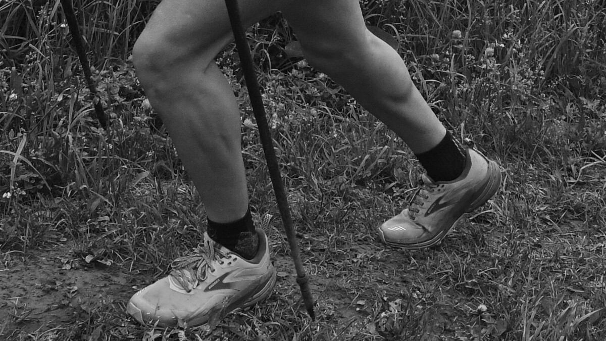 Спортсмен погиб во время горного забега в Домбае