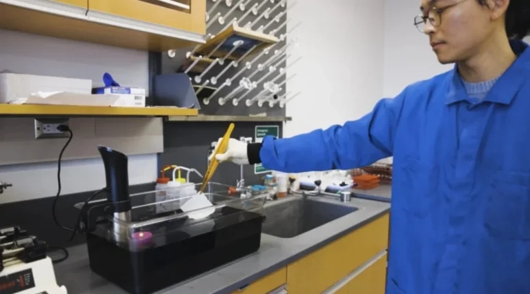 Посмотрите на самое черное платье: ткань просто «поглощает» свет