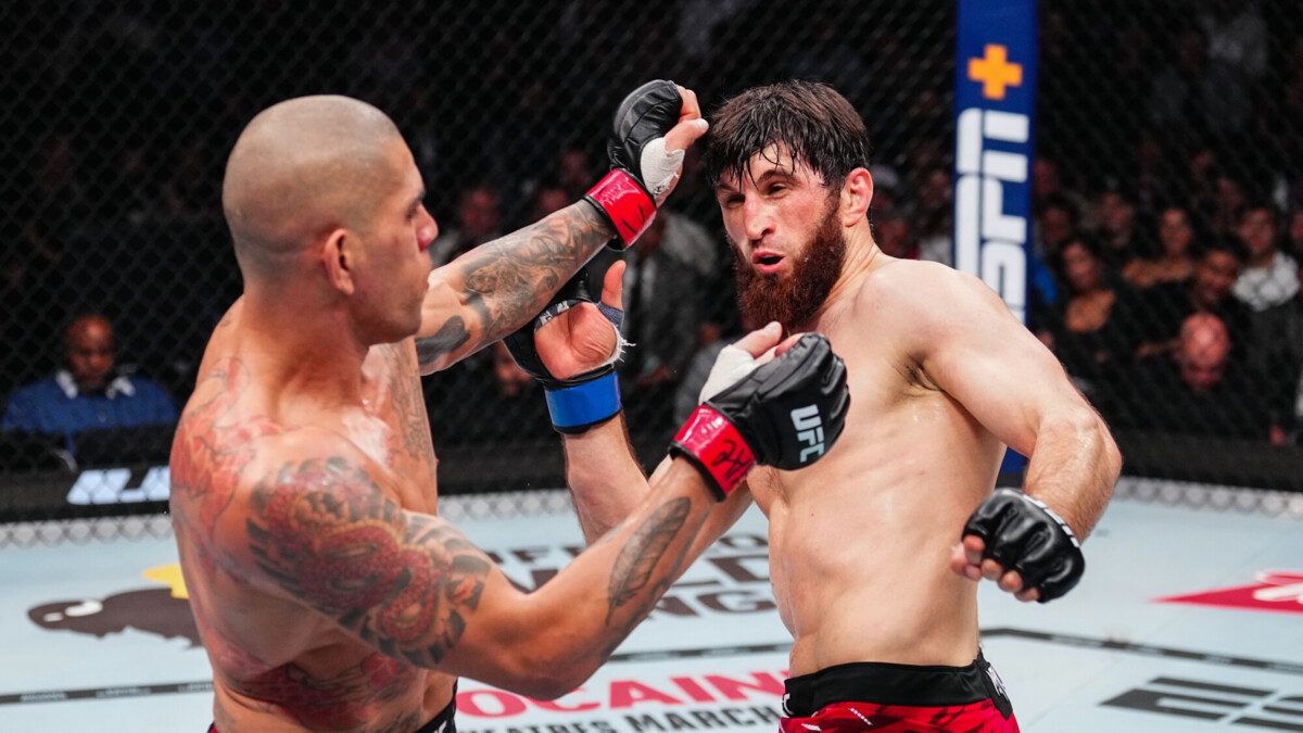 Перейра: «Никто даже не знает, что Анкалаев — чемпион UFC»