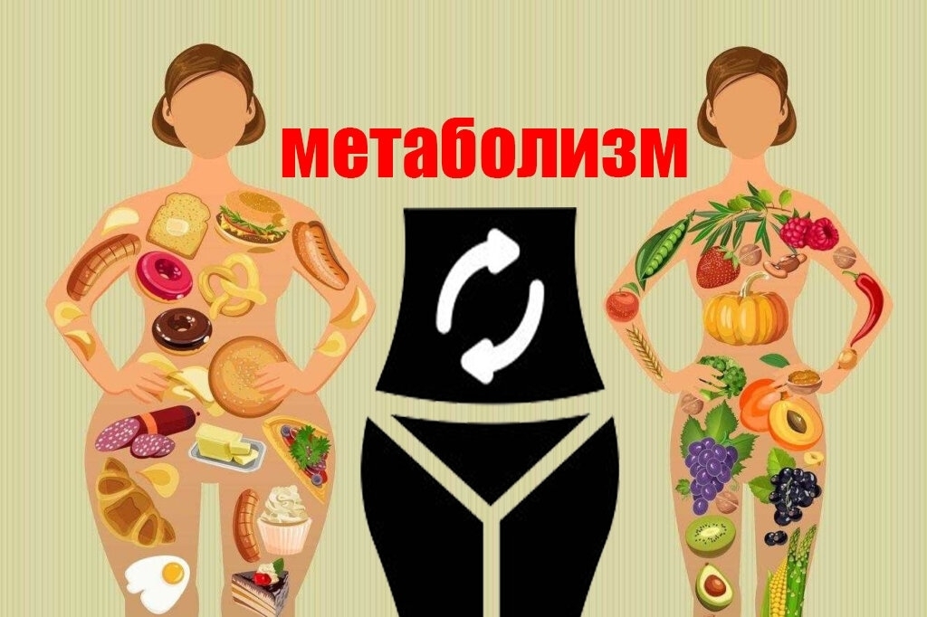 Что на самом деле разгоняет метаболизм