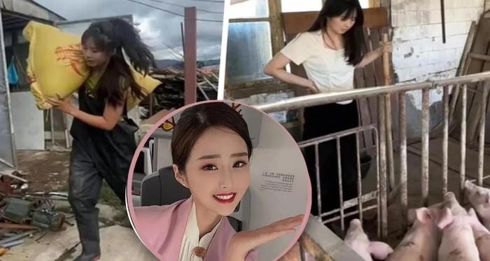 Стюардесса устала от мизерных зарплат, уволилась из авиакомпании, стала свинопасом и за 2 месяца заработала 28'000 долларов США