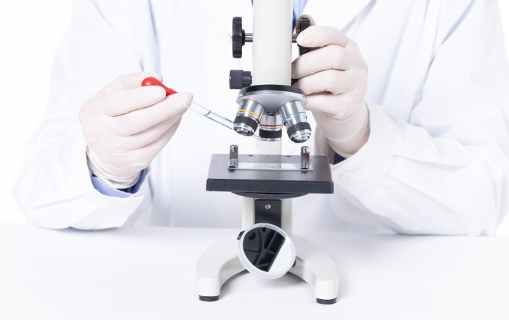 Найден путь поступления магния в клетку: открытие может помочь в борьбе с раком