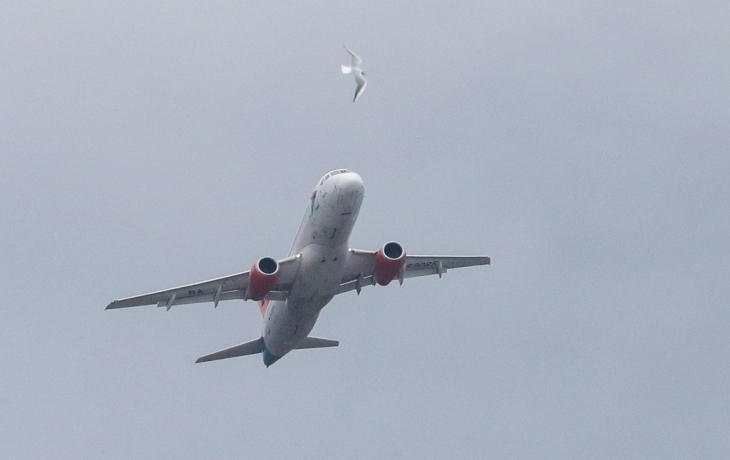 В Иране совершил рейс самолет, впервые управляемый женщинами В Иране совершил рейс самолет, впервые управляемый женщинами
