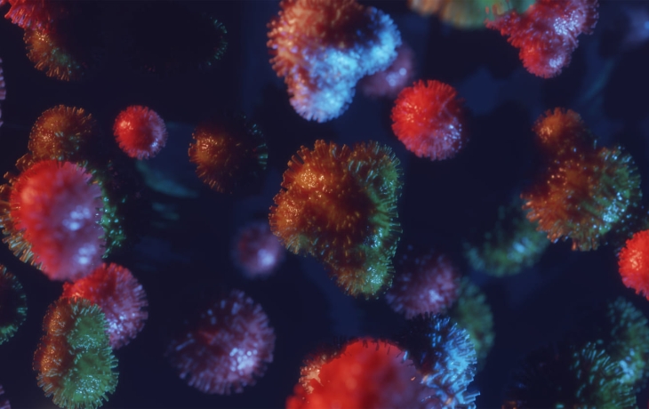 Анализ &laquo;генеалогии&raquo; использовали для выявления опасных бактерий и вирусов