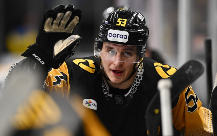 «Северсталь» прервала трехматчевую серию поражений в КХЛ, обыграв «Витязь» «Северсталь» прервала трехматчевую серию поражений в КХЛ, обыграв «Витязь»