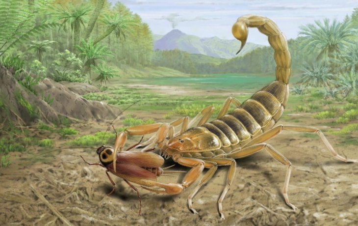 В Китае нашли останки «гигантского» скорпиона, который жил в эпоху динозавров В Китае нашли останки «гигантского» скорпиона, который жил в эпоху динозавров