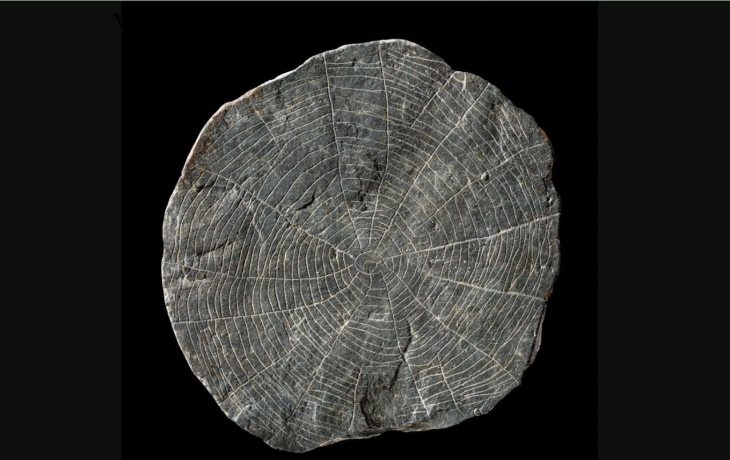 Археологи раскрыли тайну &laquo;принесенных в жертву&raquo; 4900 лет назад камней