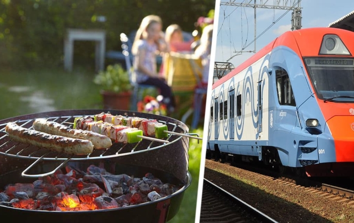 Дачникам Подмосковья на заметку: ЦППК запускает дополнительные дачные поезда, объявлено новое расписание