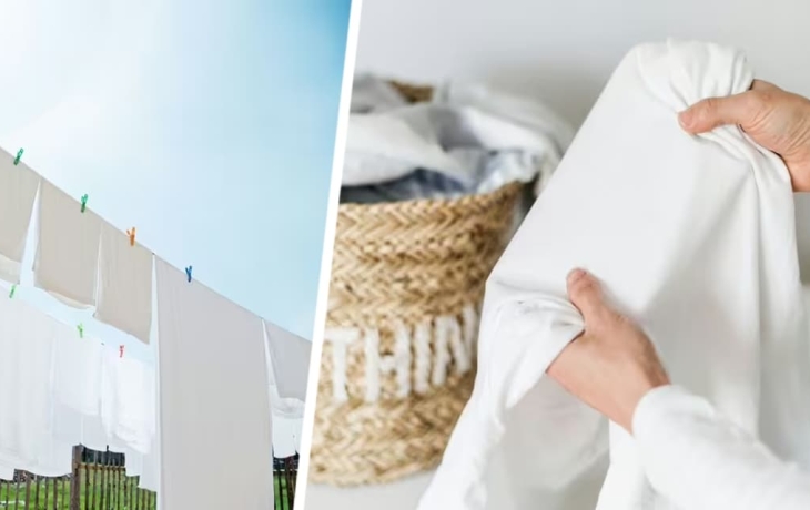 Отбелите сильно испачканные простыни и наволочки с помощью 1 мощного натурального средства вместо отбеливателя