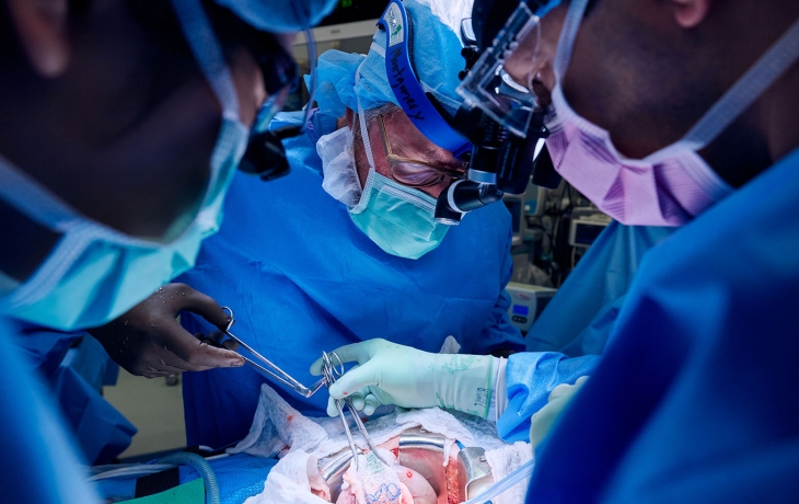 В США одобрили клинические испытания по пересадке людям почек свиньи