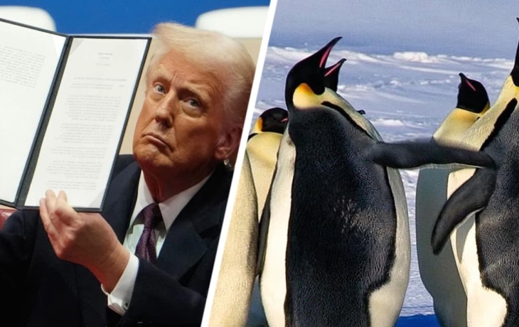 Трамп наложил торговые пошлины на острова, где нет людей и живут одни пингвины
