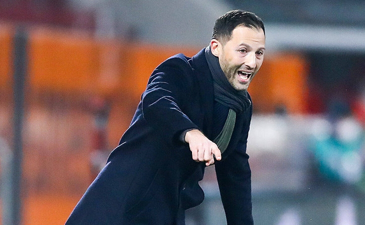 Бывший спортивный директор сборной Бельгии: «Меня не удивило увольнение Тедеско» Бывший спортивный директор сборной Бельгии: «Меня не удивило увольнение Тедеско»