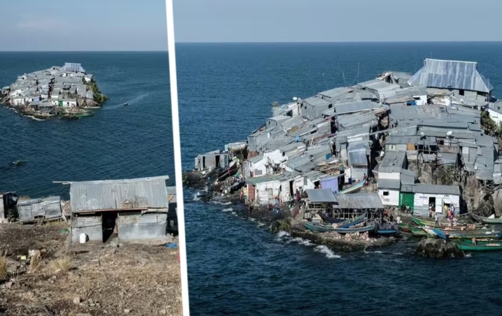 Назван остров размером меньше футбольного поля, являющийся самым густонаселённым местом на Земле Назван остров размером меньше футбольного поля, являющийся самым густонаселённым местом на Земле