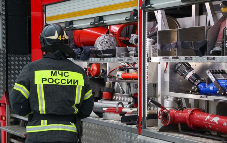 В Махачкале из-под завалов взорвавшегося дома спасли домашнего любимца