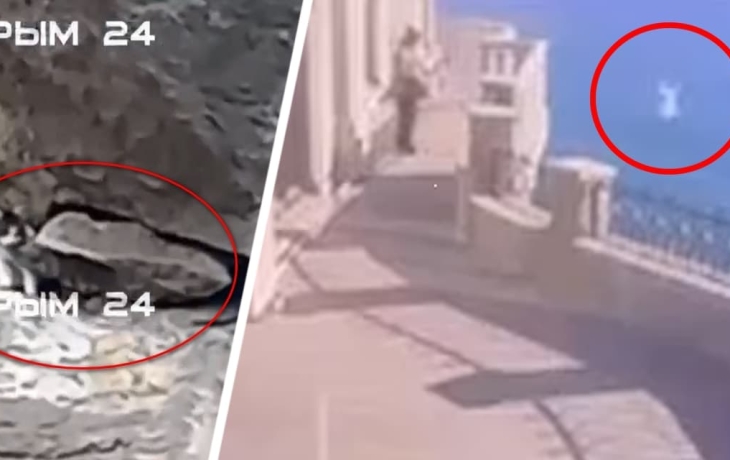 Кошка Муся выжила: брошенную в Крыму с 40-метрового обрыва котейку нашли живой среди скал Кошка Муся выжила: брошенную в Крыму с 40-метрового обрыва котейку нашли живой среди скал