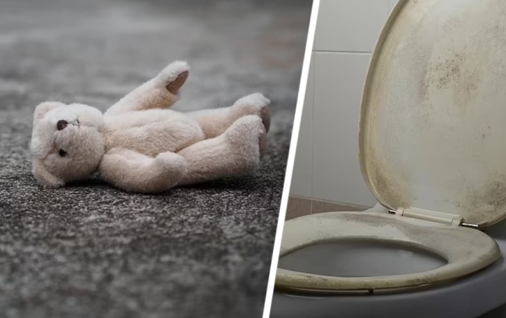 Шок и ужас: на мягких игрушках оказалось в два раза больше микробов, чем на сиденье унитаза Шок и ужас: на мягких игрушках оказалось в два раза больше микробов, чем на сиденье унитаза