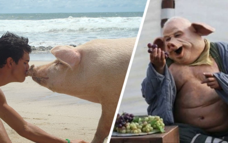 &laquo;Отвратительные свиньи&raquo;: разразился грандиозный скандал из-за одного типа туристов, которых обвинили в росте цен целой индустрии туризма