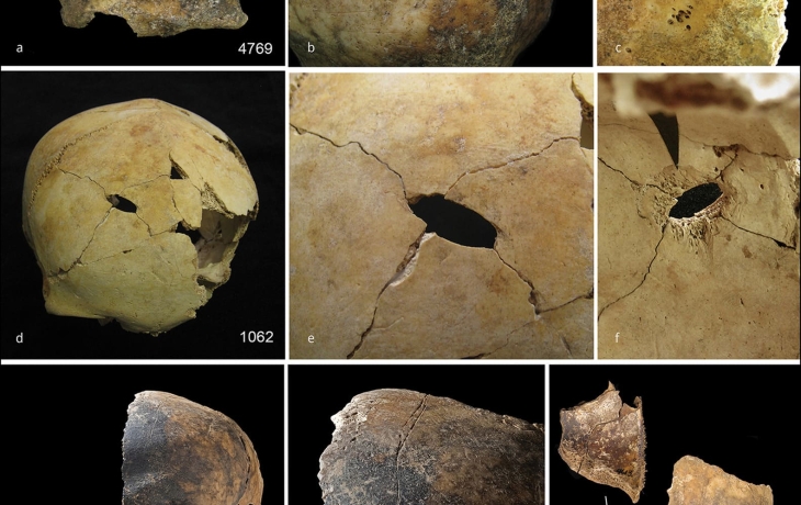 В Британии нашли останки 37 древних людей со следами каннибализма