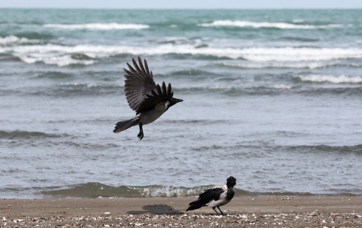 В АТОР ответили на вопрос о срыве летнего сезона в Анапе после аварии В АТОР ответили на вопрос о срыве летнего сезона в Анапе после аварии