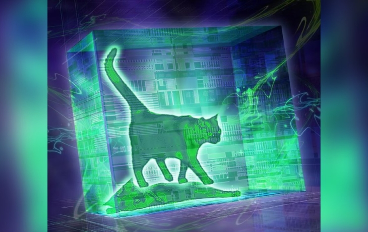 Прорыв в квантовой физике: ученые впервые измерили состояние кота Шредингера