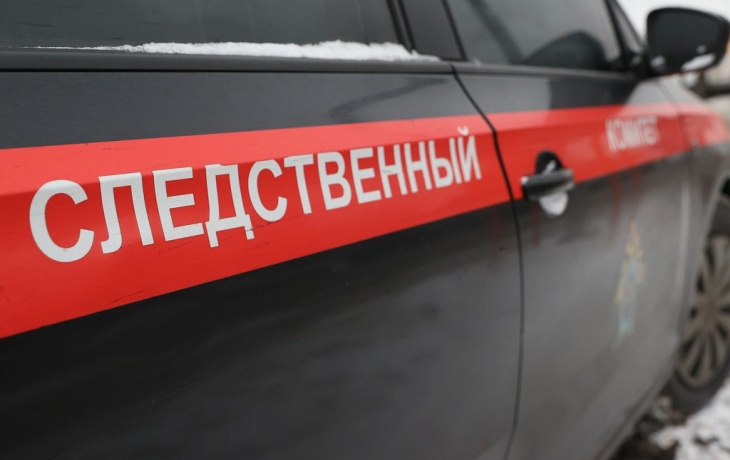 Россиянка набросилась на младенца с кулаками и палкой Россиянка набросилась на младенца с кулаками и палкой