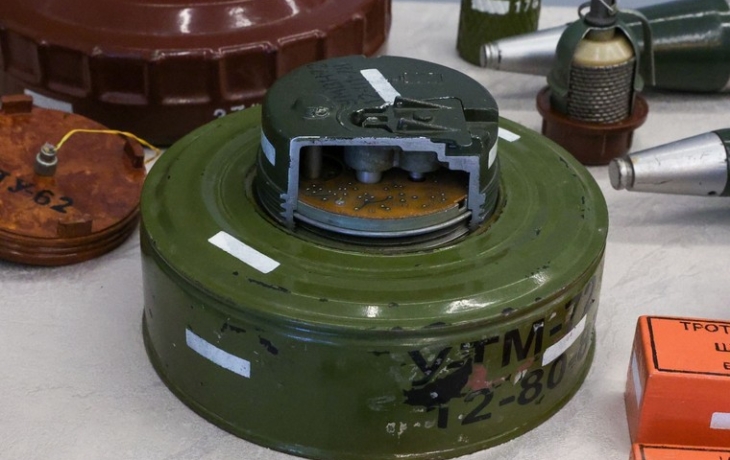 Еще одна соседняя с Россией страна захотела выйти из Дублинской конвенции