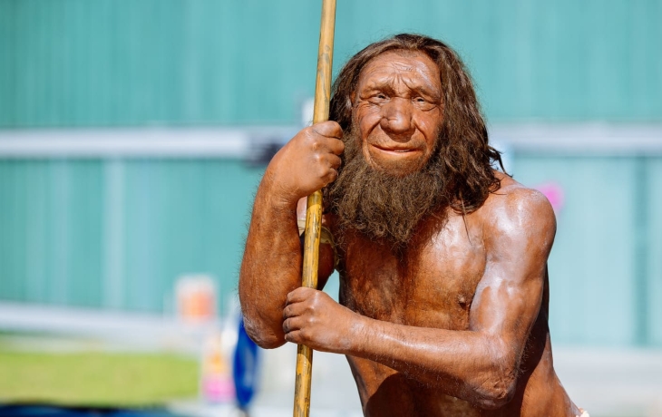 Ископаемые находки меняют представление об эволюции неандертальцев Ископаемые находки меняют представление об эволюции неандертальцев