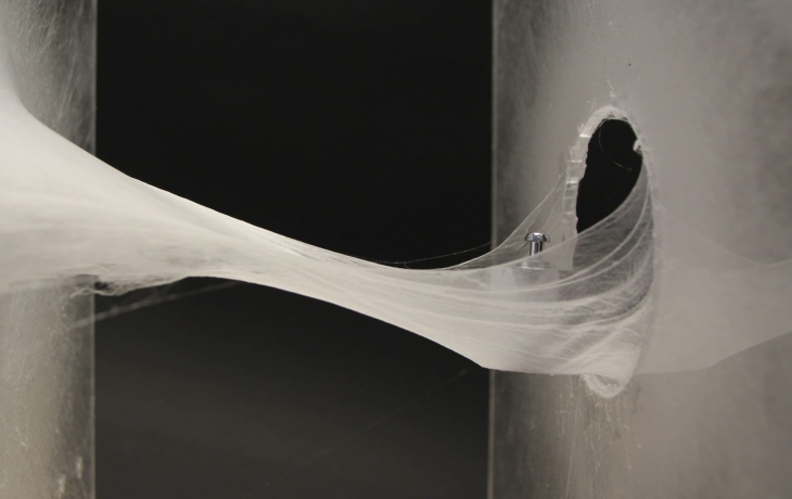 Разработана технология, которая позволяет роботам «плести» тело, как пауки паутину Разработана технология, которая позволяет роботам «плести» тело, как пауки паутину