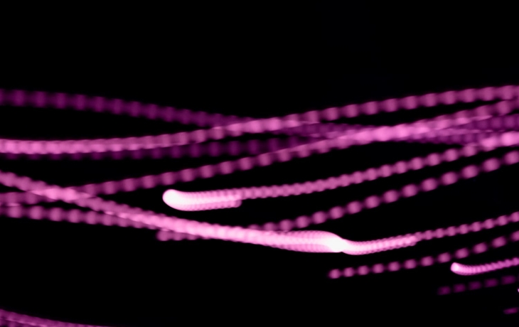 Физики нашли странную частицу: ее масса то возникает, то исчезает Физики нашли странную частицу: ее масса то возникает, то исчезает