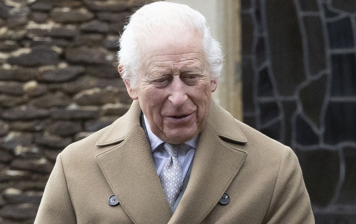 Упавшая елка, ссора принцев: новогодние скандалы королевской семьи Британии