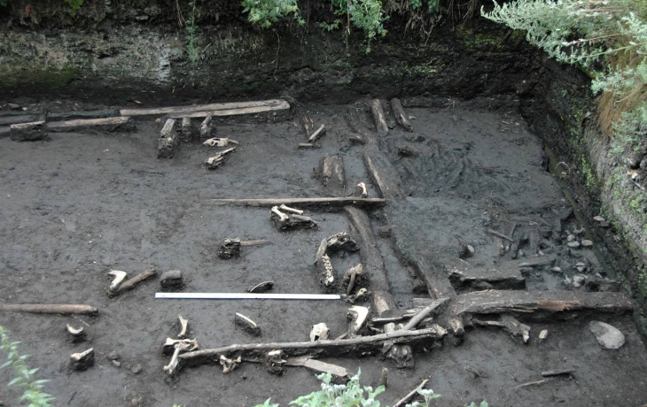 Условия жизни лошадей в Средневековом Новгороде восстановили по зубам Условия жизни лошадей в Средневековом Новгороде восстановили по зубам