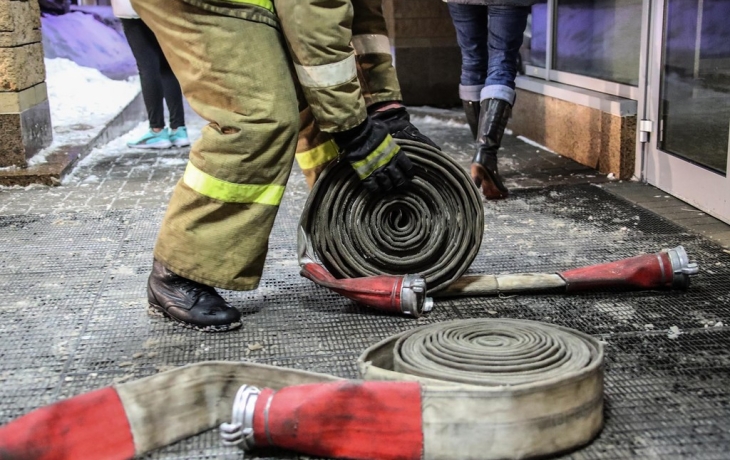 Коты чуть не сожгли квартиру в Черкесске