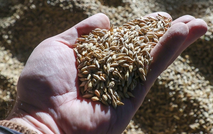 Компания из России приостановила поставки зерна в Сирию