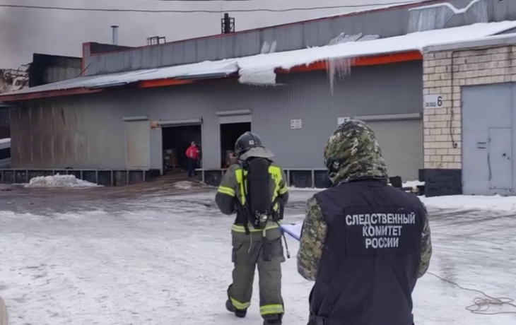 В Ленобласти возбудили уголовное дело из-за пожара в Гатчине