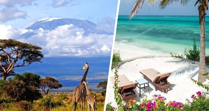 Назван самый недооценённый город Африки, который является воротами к прекрасным пляжам с белым песком Назван самый недооценённый город Африки, который является воротами к прекрасным пляжам с белым песком