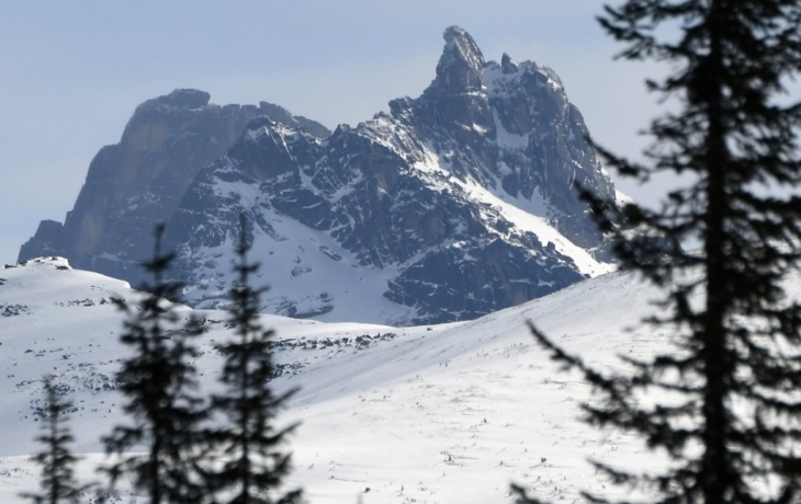 Школьница погибла во время спуска на горных лыжах под Красноярском